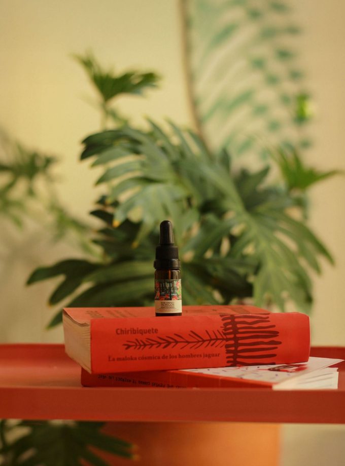 Ritual elixir de hongos adaptógenos