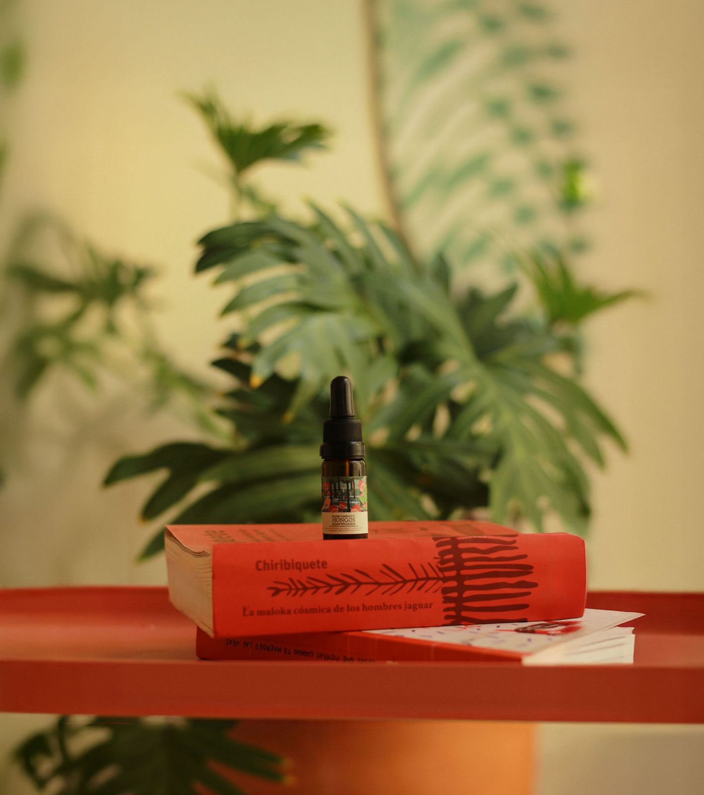 Ritual elixir de hongos adaptógenos - Image 10
