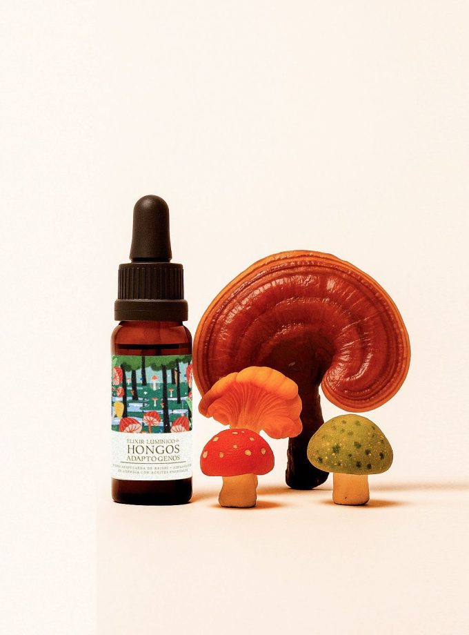 Ritual elixir de hongos adaptógenos