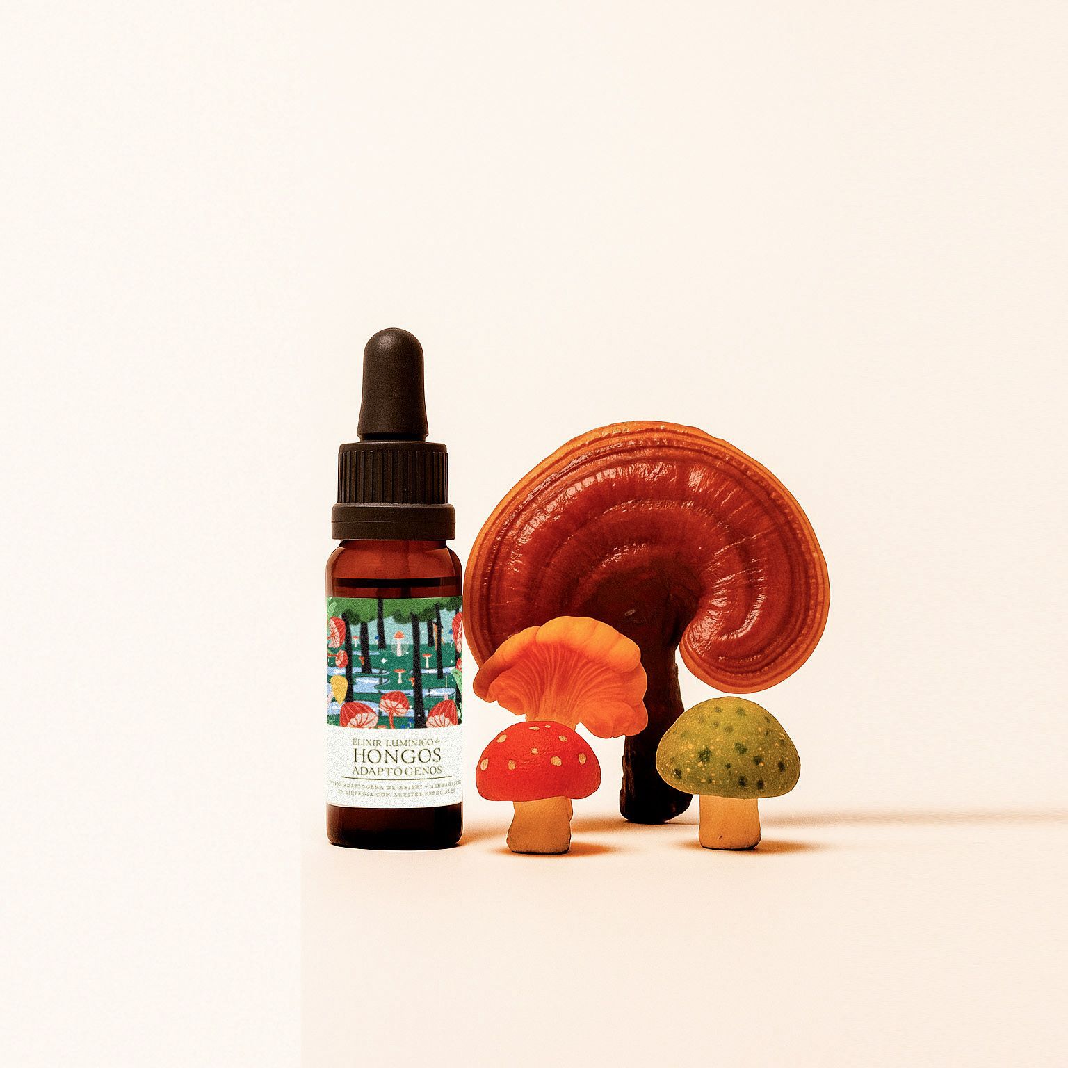 Ritual elixir de hongos adaptógenos