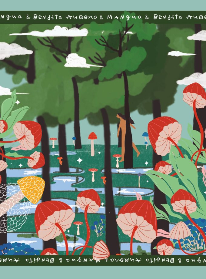 Ritual elixir de hongos adaptógenos