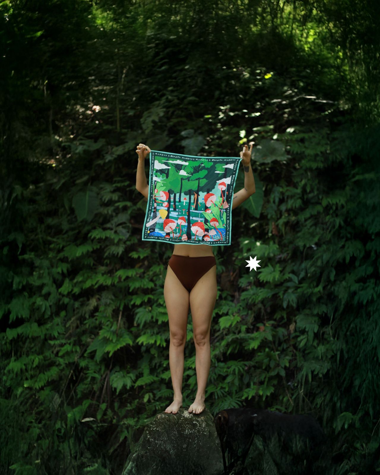 Ritual elixir de hongos adaptógenos - Image 4