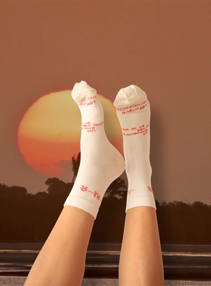 一期一会 Ichigo ichie socks