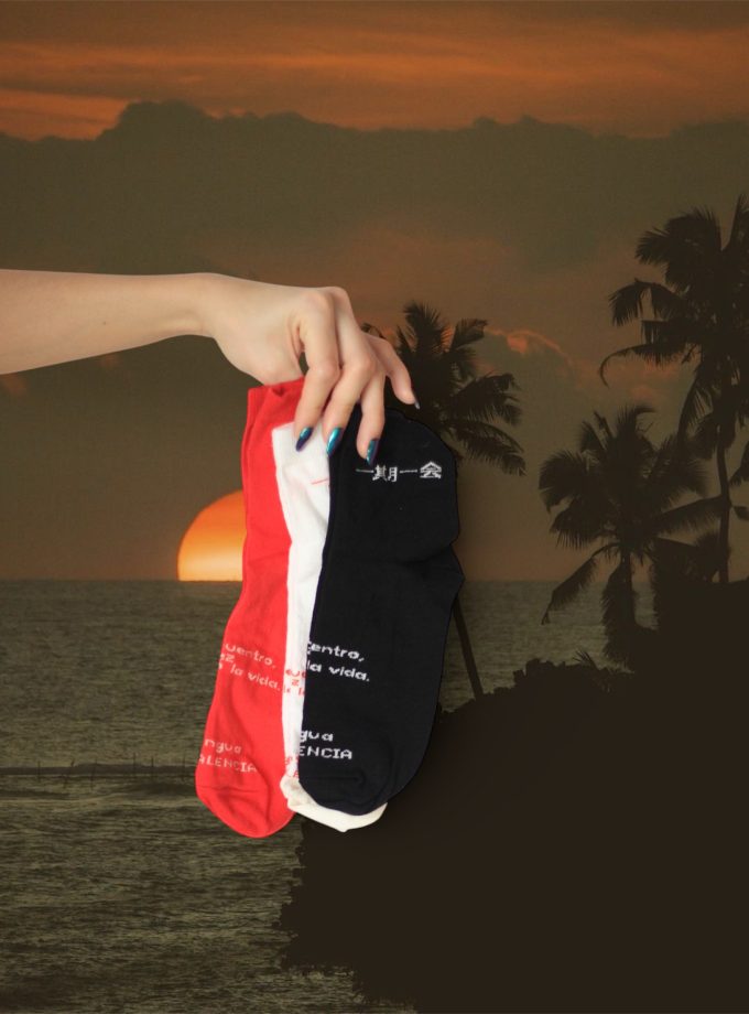 一期一会 Ichigo ichie socks