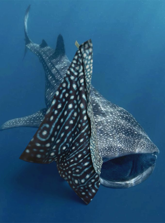 Toalla Tiburon ballena pequeña